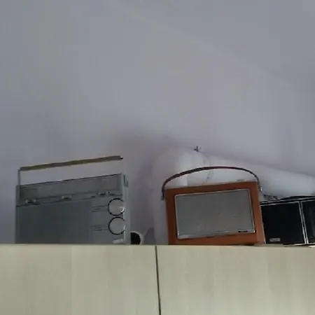 Anastasia Downtown Flat Apartment *